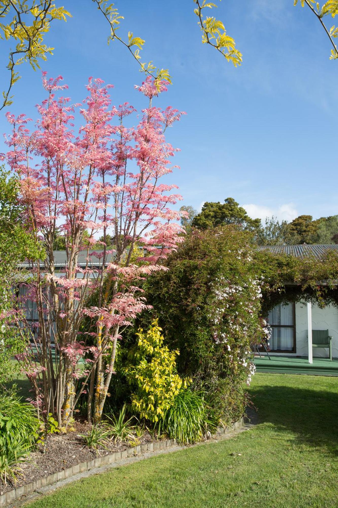 The Park Motel Motueka Kültér fotó